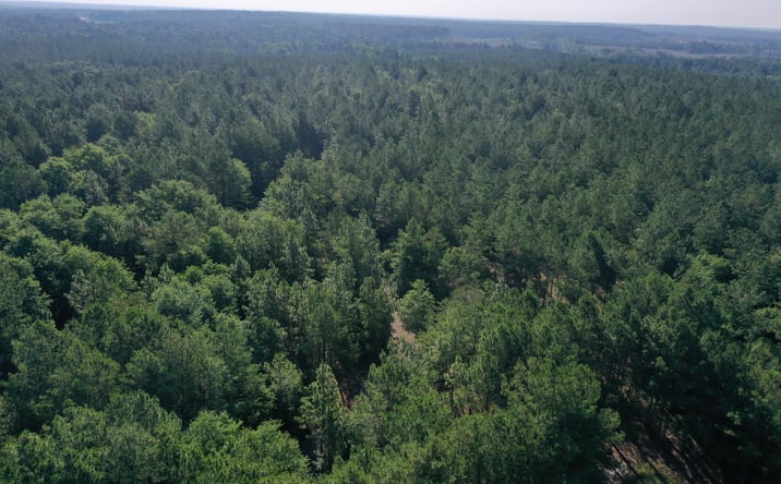 Pictures of Land property located at Jones Spring Church Road, Ellerbe, NC 28338 for sales - image #1