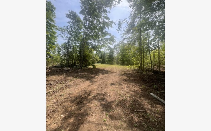 Pictures of Land property located at Estabrook Road, Amity, ME 04471 for sales - image #1