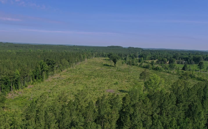 Pictures of Land property located at Everett Chappell Road, Ellerbe, NC 27338 for sales - image #1