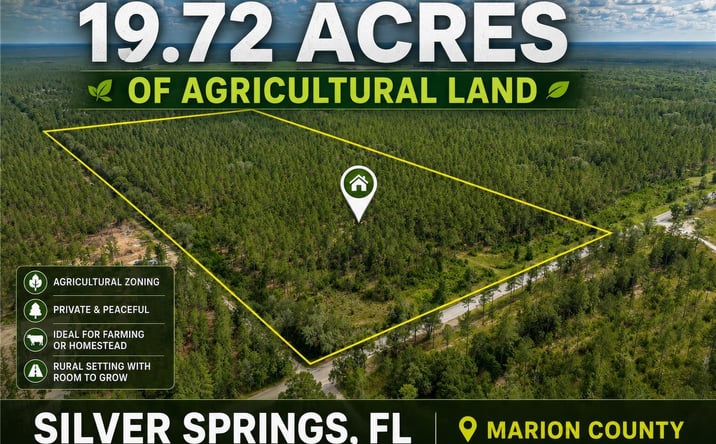 Pictures of Land property located at Northeast 90th Street Road, Fort McCoy, FL 32134 for sales - image #1
