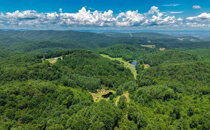 Pictures of Land, Multifamily property located at TBD Little Vine Road, Hillsville, VA 24343 for sales - image #1
