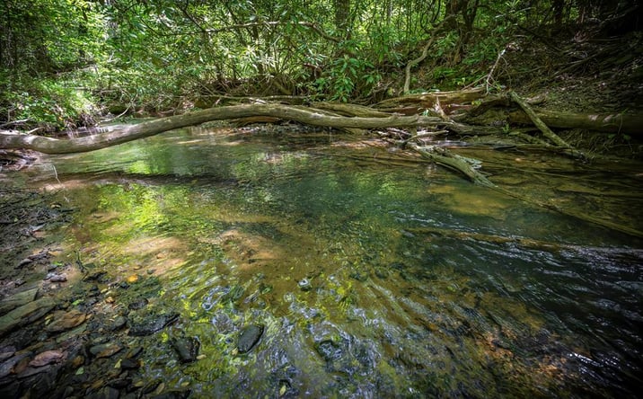Pictures of Land property located at Lot 1-1A Jonica Gap Road, Mineral Bluff, GA 30559 for sales - image #1