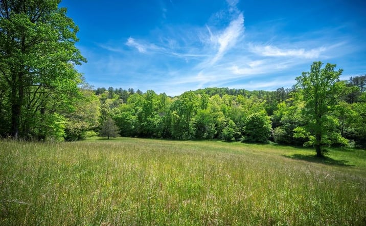 Pictures of Land property located at Lot 2-2A Waterstone Way, Mineral Bluff, GA 30559 for sales - image #1