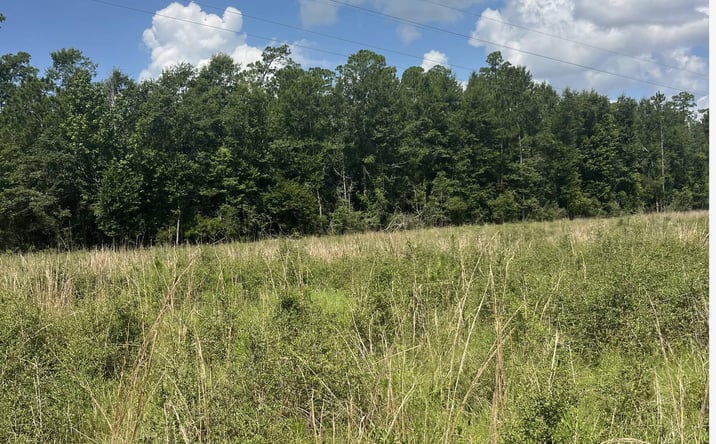 Pictures of Land property located at West I-10 Interstate, Passchristian, MS 39571 for sales - image #1
