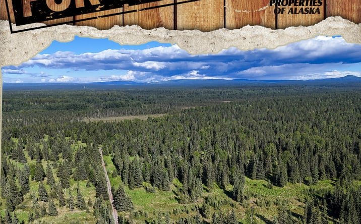 Pictures of Land property located at 000 Walatka Ave, Ninilchik, AK 99639 for sales - image #1