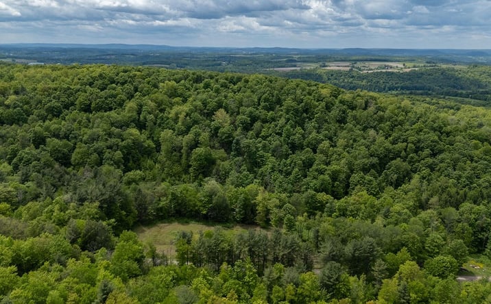 Pictures of Hospitality, Mixed Use, Land property located at 511 STEAM MILL RD, WELLSBORO, PA 16901-6854 for sales - image #1