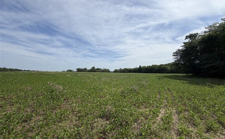 Pictures of Land property located at 56 HWY & County Line Road, Edgerton, KS 49649-9207 for sales - image #1