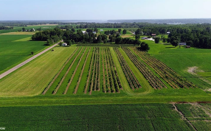 Pictures of Land, Special Purpose property located at 315 S Winchester Street, Nauvoo, IL 62354 for sales - image #1