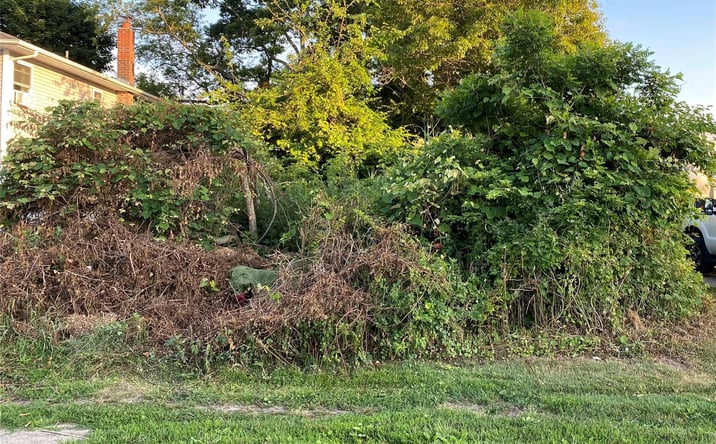 Pictures of Land property located at Trafalgar Drive, Shirley, NY 11967 for sales - image #1