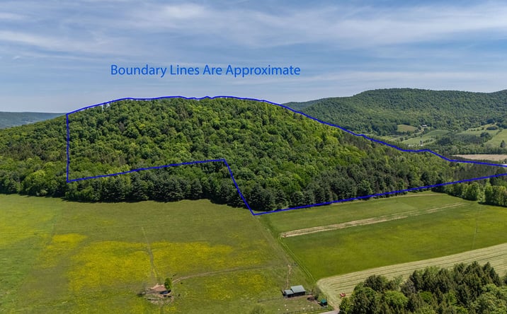 Pictures of Land property located at 033A Parcel Route 6,, Roulette, PA 16746 for sales - image #1