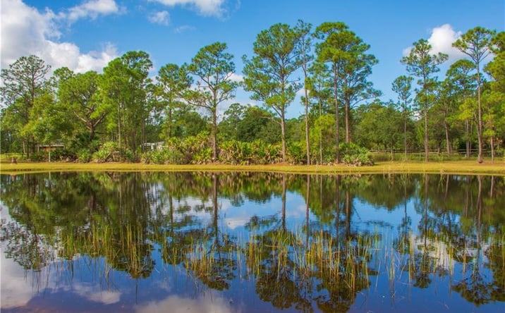 Pictures of Land property located at 13955 87th Street, Fellsmere, FL 32948 for sales - image #1