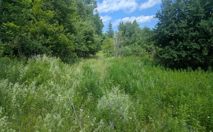 Pictures of Land property located at 619 Stream Road, Winterport, ME 04496 for sales - image #1