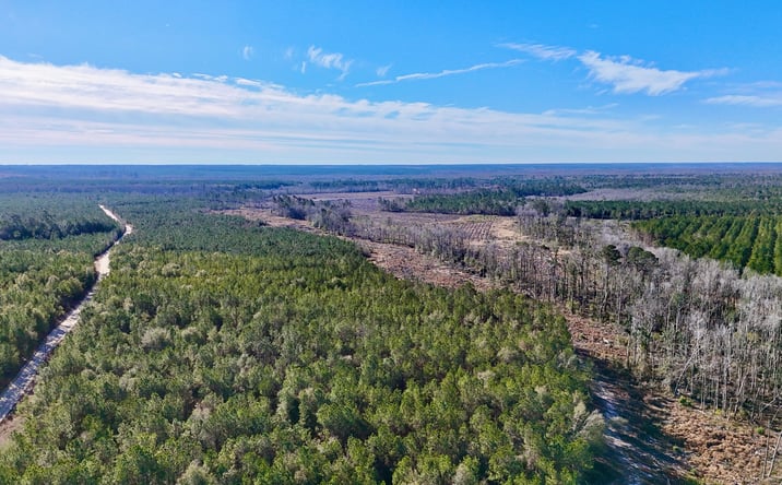 Pictures of Land property located at Tillman Cemetery Road, Lumber City, GA 31549 for sales - image #1