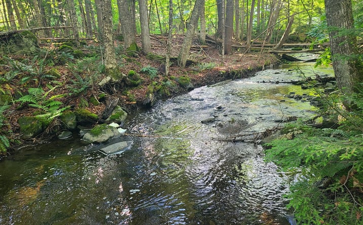 Pictures of Land property located at 36 Ladd Road, Sebec, ME 04481 for sales - image #1