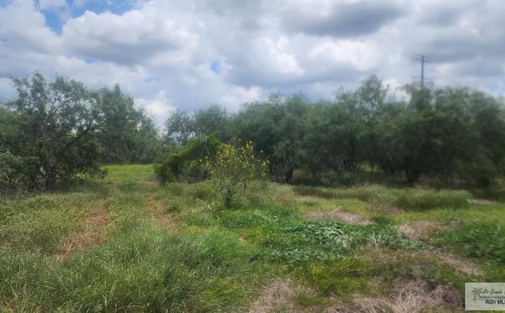 Pictures of Land, Multifamily property located at 31099 Fm 1575 #n/a, Los Fresnos, TX 78566 for sales - image #1