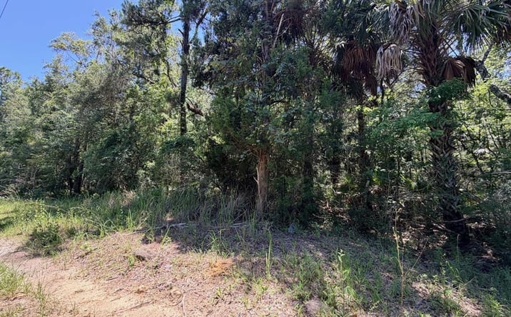 Pictures of Land property located at SE Hwy 19, Inglis, FL 34449 for sales - image #1