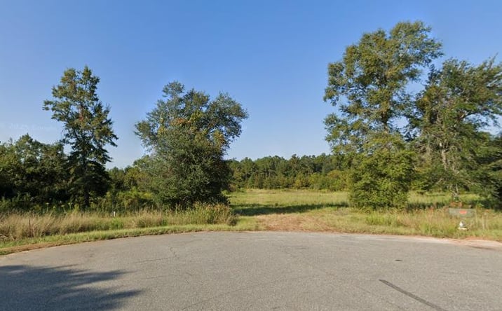 Pictures of Land property located at 309 Over Court, Albany, GA 31721 for sales - image #1