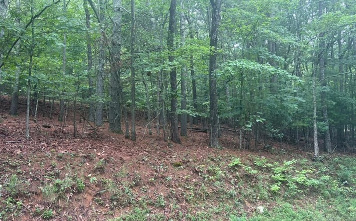 Pictures of Land property located at 99 Nelson Circle, Blairsville, GA 30512 for sales - image #1