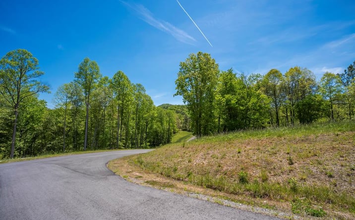 Pictures of Land property located at Lot 4-4A Waterstone Way, Mineral Bluff, GA 30559 for sales - image #1