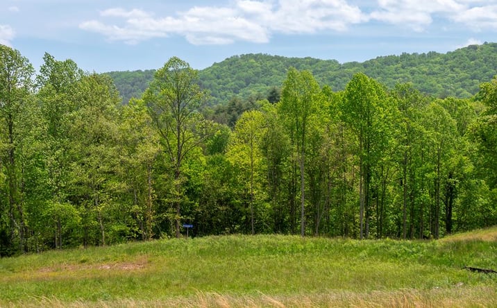 Pictures of Land property located at Lot 15 Waterstone Way, Mineral Bluff, GA 30559 for sales - image #1