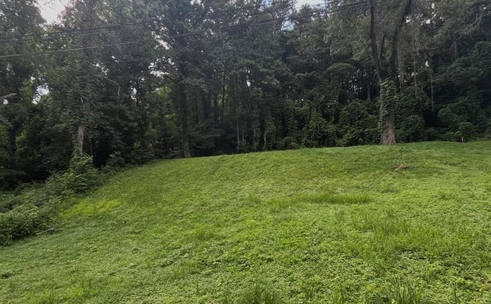 Pictures of Land property located at 59 Bradley Street, Blue Ridge, GA 30513 for sales - image #1