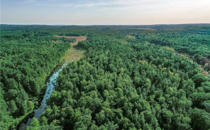 Pictures of Land property located at Ide Perrin Road, Woodstock, CT 06281 for sales - image #1