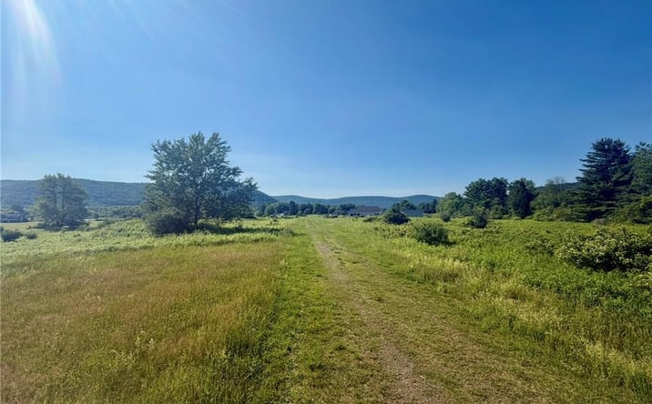 Pictures of Land property located at Memory Lane, otego, NY 13825 for sales - image #1