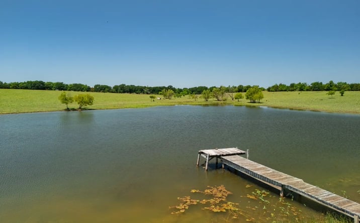 Pictures of Land property located at 12099 County Road 1028, 124052, TX 75424 for sales - image #1