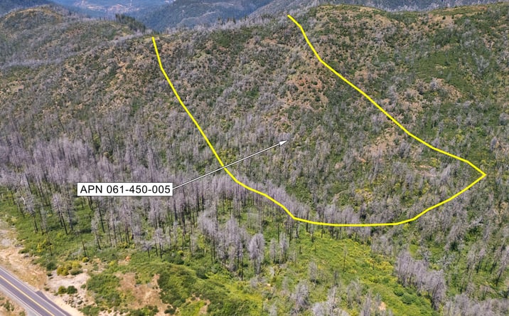 Pictures of Land property located at APN #061-450-005-000, Berry Creek, CA 95916 for sales - image #1