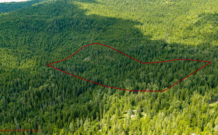 Pictures of Land property located at NHN Peach Park Loop, ROLLINS, MT 59931 for sales - image #1