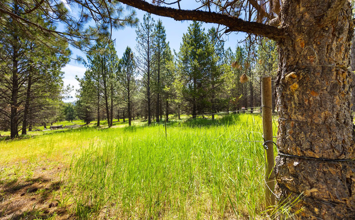 Pictures of Land property located at 9295 Lost Prairie Road, MARION, MT 59925 for sales - image #1