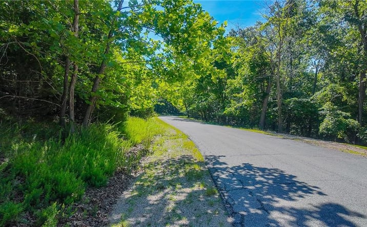 Pictures of Land, Special Purpose property located at Lot #251 Grand Cove Road, Sunrise Beach, MO 65079 for sales - image #1