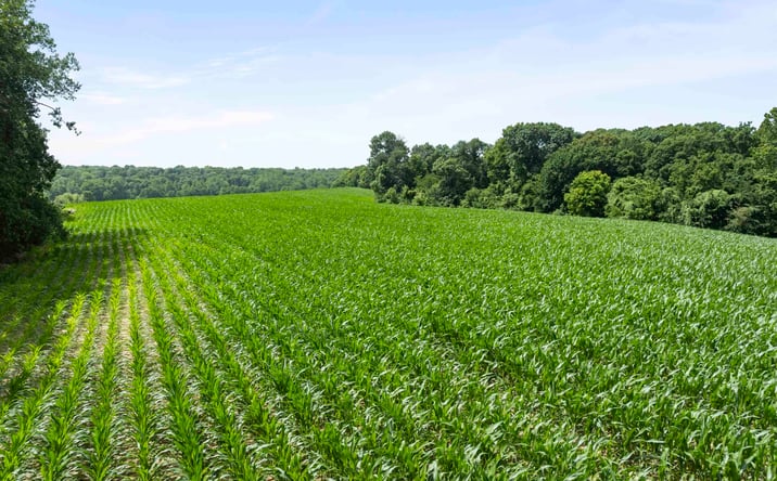 Pictures of Land property located at N Highway 9 County Road, Lewistown, IL 61542 for sales - image #1