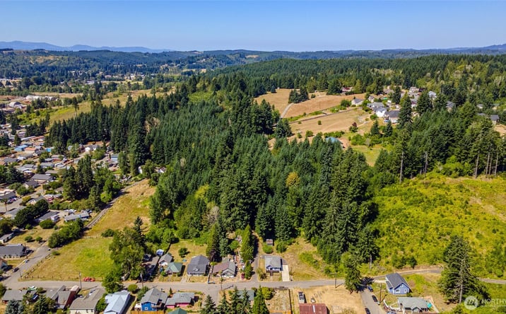 Pictures of Land property located at Rhobina St, Centralia, WA 98531 for sales - image #1