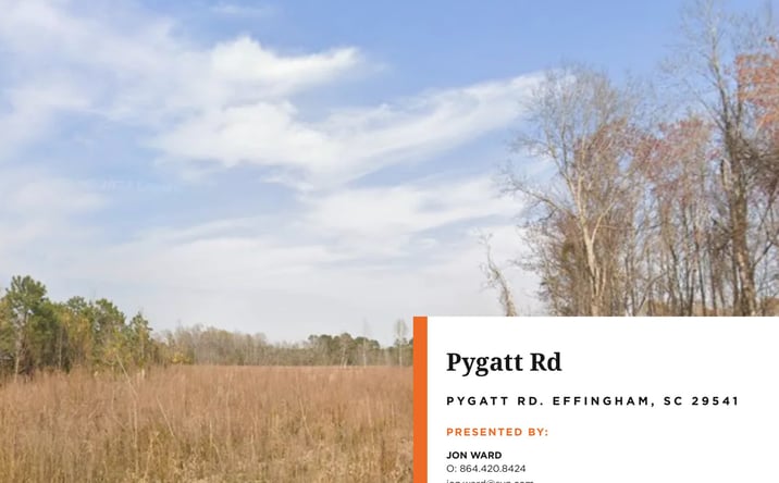 Pictures of Land property located at Pygatt Rd, Effingham, SC 29541 for sales - image #1