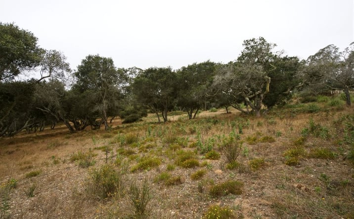 Pictures of Multifamily, Land property located at Valle Pacifico Road, Prunedale, CA 93907 for sales - image #1