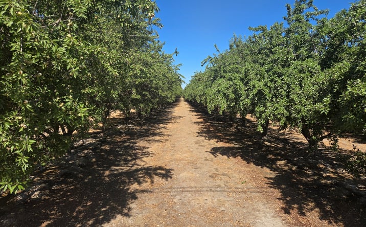 Pictures of Land property located at Marks. Ave. S. of Davis Ave., Riverdale, CA 93656 for sales - image #1