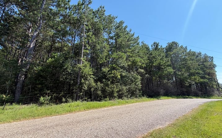 Pictures of Land, Multifamily, Special Purpose property located at 187 Redfish Road, Poplarville, MS 39470 for sales - image #1