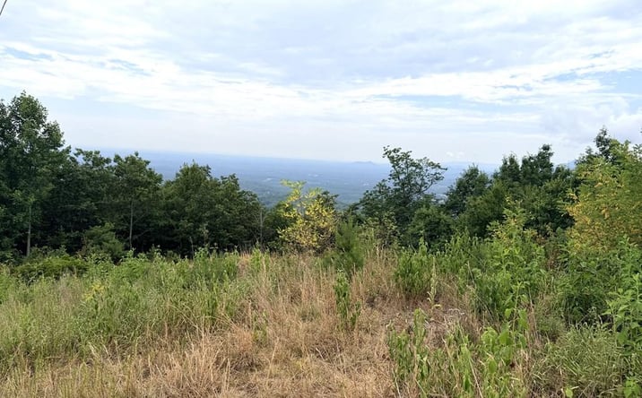 Pictures of Land, Multifamily property located at TBD Reflection Point Tr, Fancy Gap, VA 24328 for sales - image #1