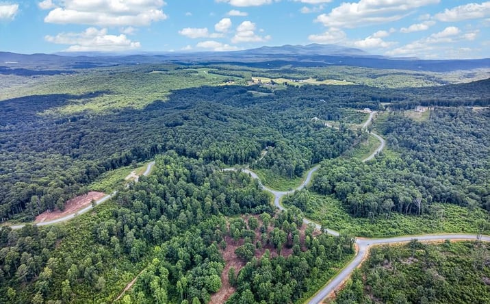 Pictures of Land property located at LT 227 Vineyard At Yukon, Talking Rock, GA 30175 for sales - image #1