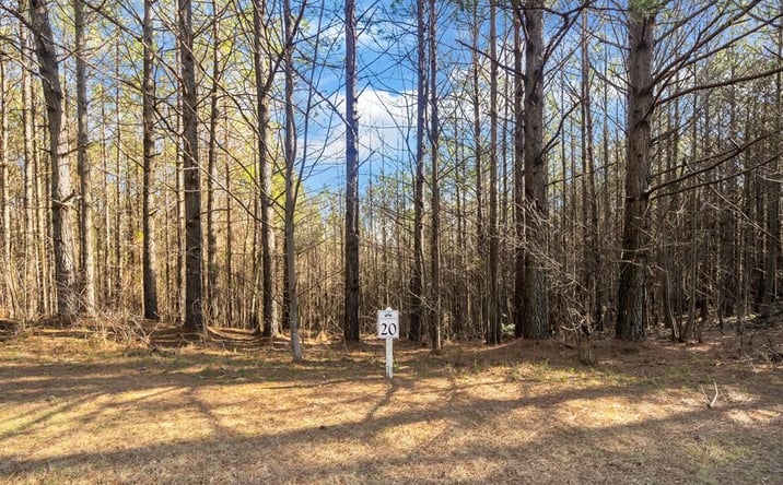 Pictures of Land property located at Foxpaw Leaf Lane, Ellijay, GA 30536 for sales - image #1