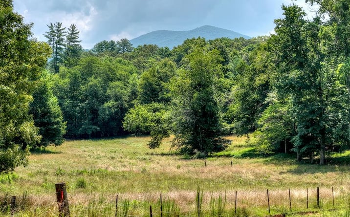 Pictures of Land property located at 963 Black Ankle Lane, Blue Ridge, GA 30513 for sales - image #1