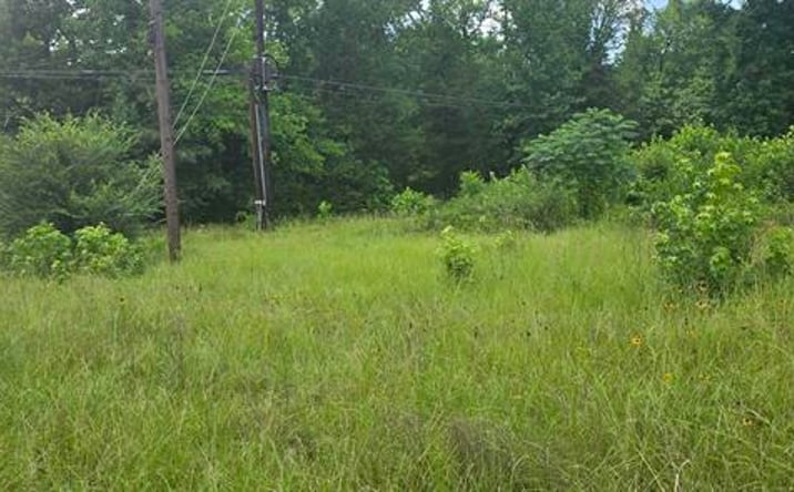 Pictures of Land property located at 469 Wichita, Bullard, TX 75757 for sales - image #1