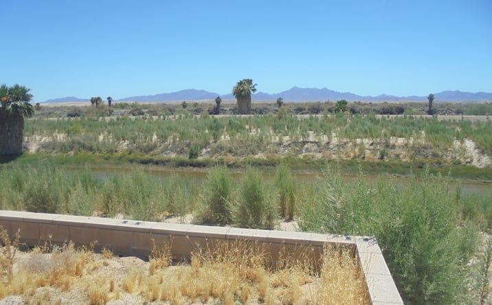 Pictures of Land property located at 1556 Riviera Drive, Blythe, CA 92225 for sales - image #1