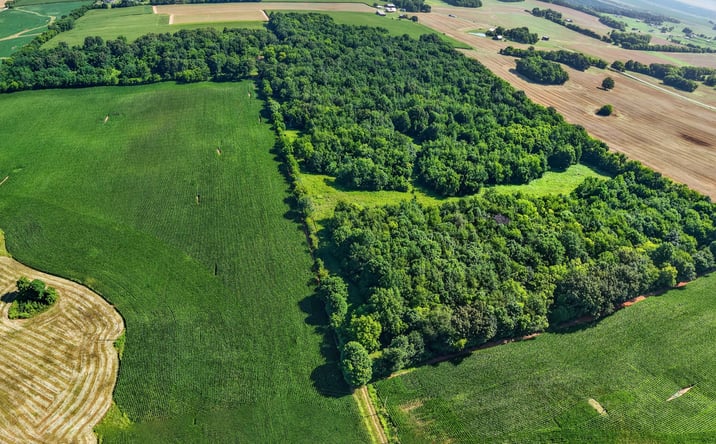 Pictures of Land property located at 5202 Jones Roe Rd, Springfield, TN 37172 for sales - image #1