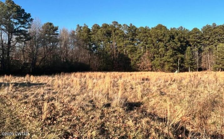 Pictures of Land property located at U.S. 79, Gadsden, TN 38337 for sales - image #1