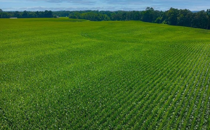 Pictures of Land property located at State Route 22A S, Henderson, TN 38340 for sales - image #1