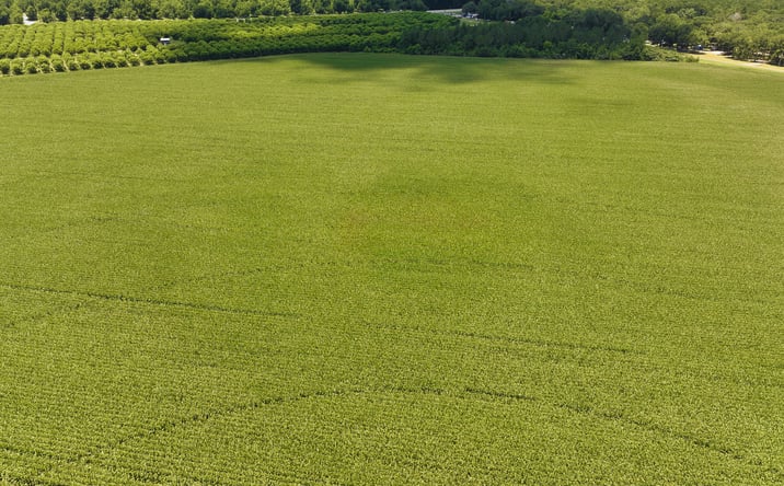 Pictures of Land property located at 1711 Hancock Road, Albany, GA 31705 for sales - image #1