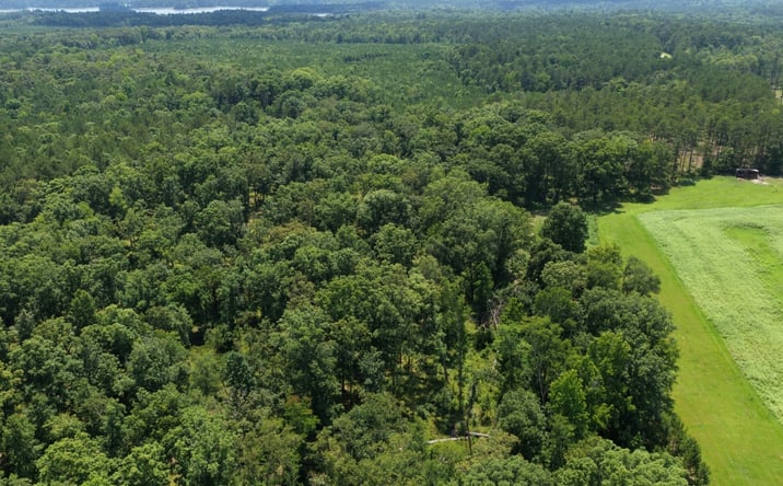 Pictures of Land property located at 0 Augusta Hwy, Lincolnton, GA 30817 for sales - image #1