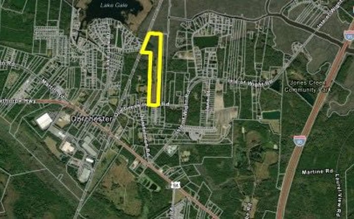 Pictures of Land property located at 580 OLD GRESS ISLAND RD, MIDWAY, GA 31320 for sales - image #1